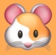 WWW,zzz13·COM网站APPAPP应用